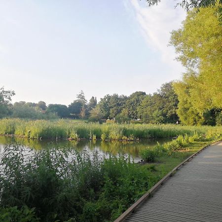Room In A Danish Cottage With Garden View, 10 Min To Cph Gentofte Kommune Exterior foto